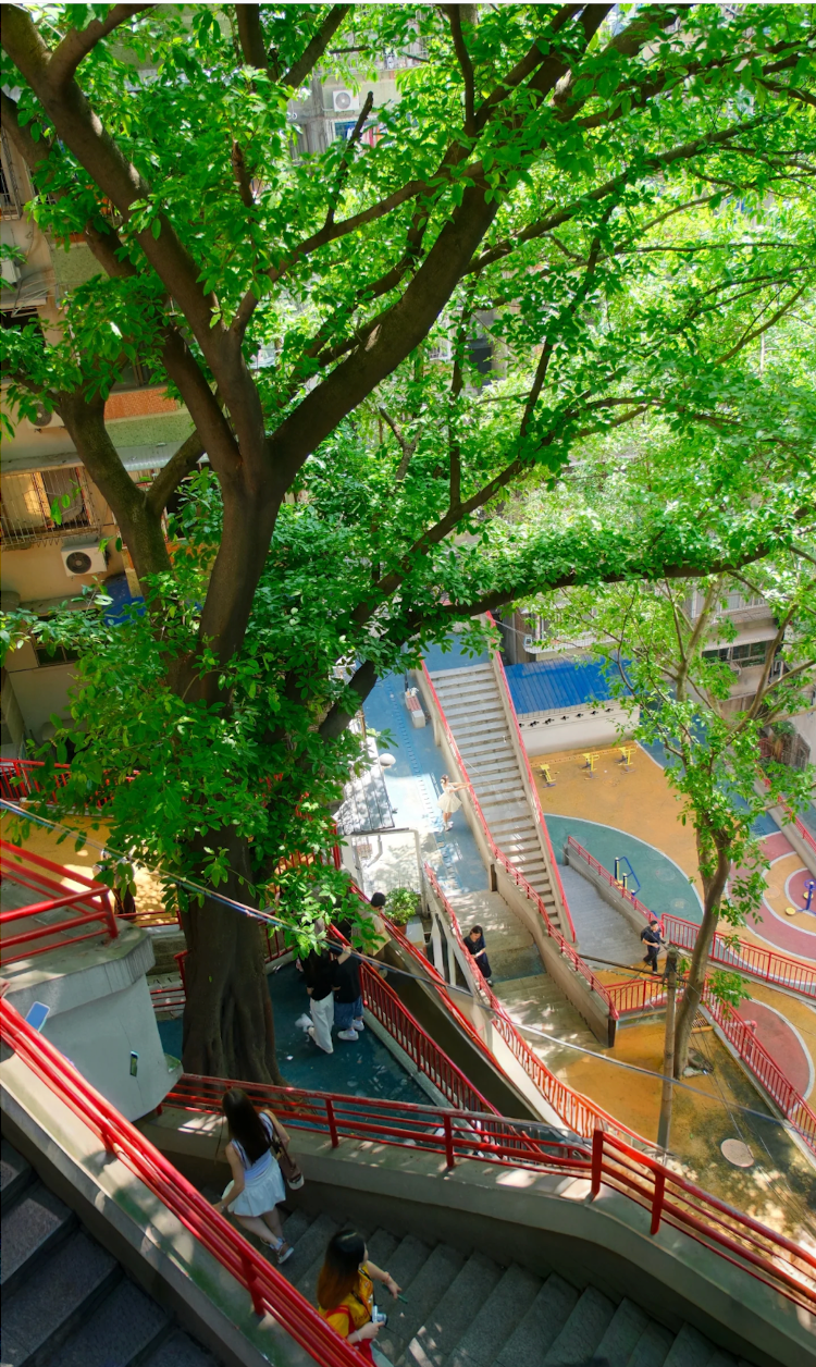 Steep stairs winding through a residential Chongqing community